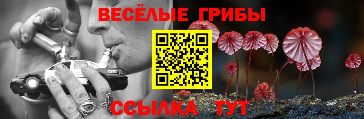 Верхняя Салда  сколько стоит  Галлюциногенные грибы ЛСД  Вход с VPN  Галлюциногенные грибы Cubensis 