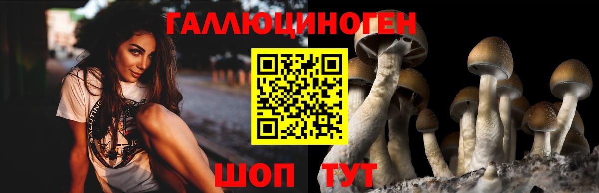 Псилоцибиновые грибы MAGIC MUSHROOMS Верхняя Салда